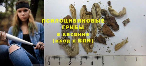 2c-b Алзамай